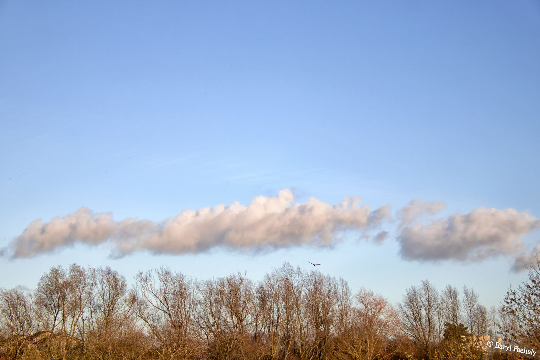 A Bed Of Clouds