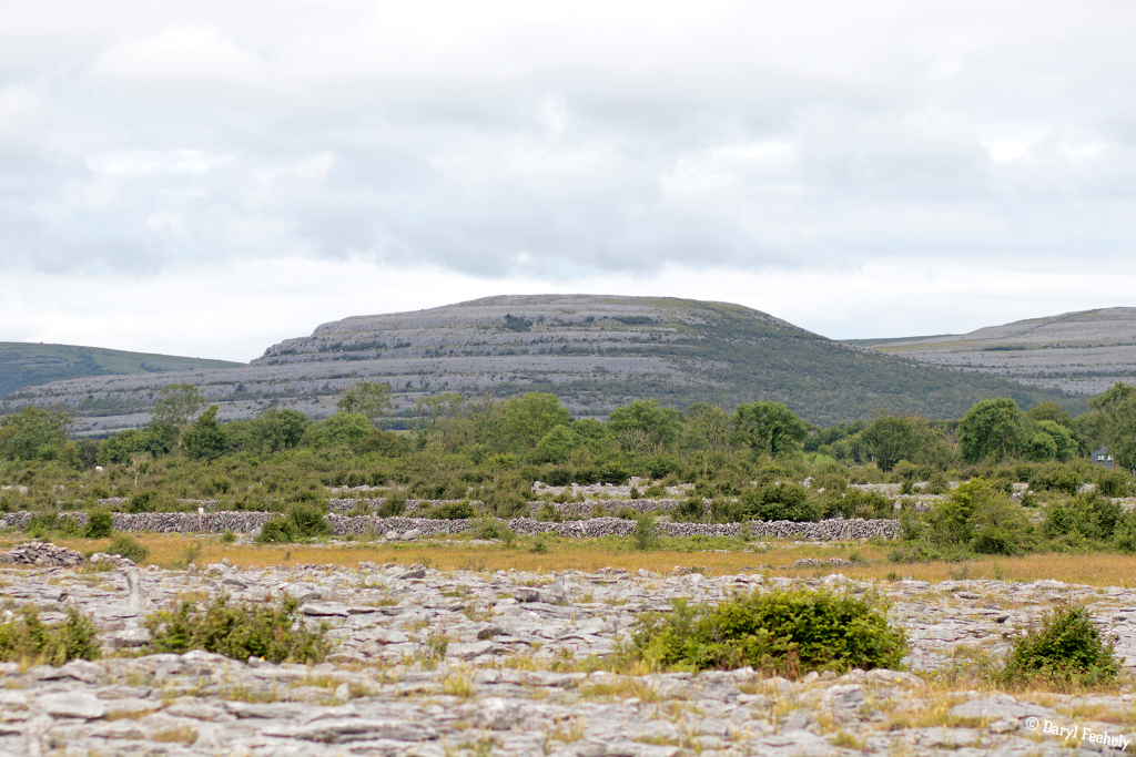 The Burren